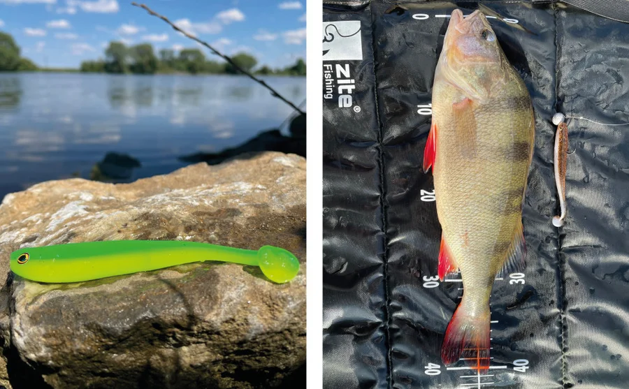Zite Fishing Gummifisch lime bomb 15 Stück - Unser Gummifisch im Outdooreinsatz