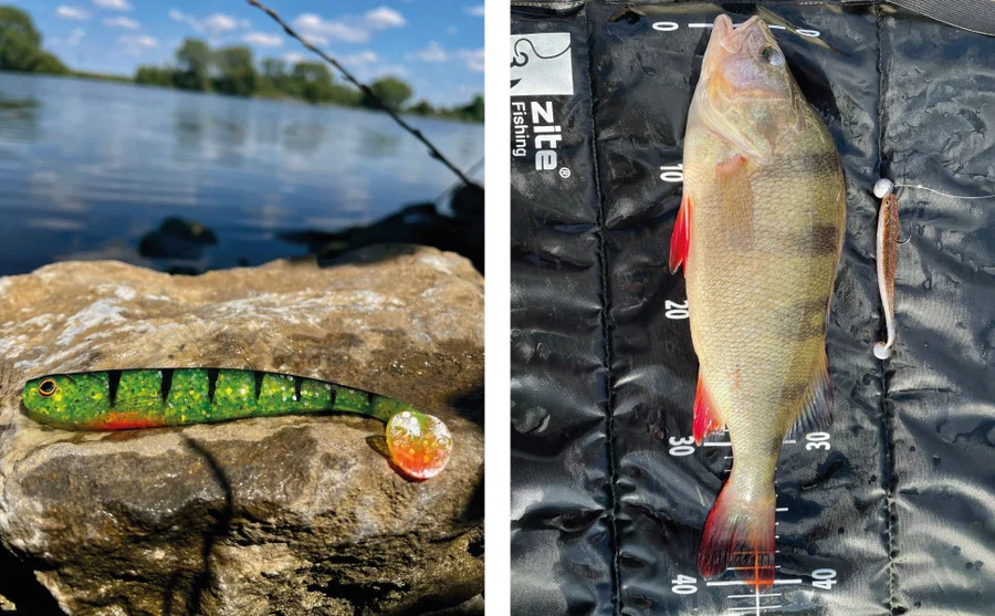 Zite Fishing Gummifisch lightning perch 15 Stück - Unser Gummifisch im Outdooreinsatz