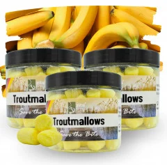 Zite Fishing Troutmallows-Set Banane gelb 3x40g Forellenköder - 3 praktische Dosen mit jeweils 40g