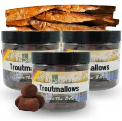 Zite Fishing Troutmallows-Set Fisch braun 3x40g Forellenköder - 3 praktische Dosen mit jeweils 40g