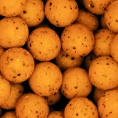 Boilies 20 mm Karpfenangeln Köder Süßer Mais Aroma 1kg Beutel Zite Fishing - Aminosäuren machen wild!