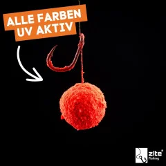 Zite Fishing Dip Powder Muschel/Halibut Fluo grün 50 g - UV-Aktivität