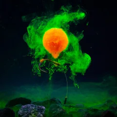 Zite Fishing Bait Smog UV-Aktiv Vanille/Honig Fluo orange 50 ml - Lockmittel für Karpfenköder - UV-Aktivität
