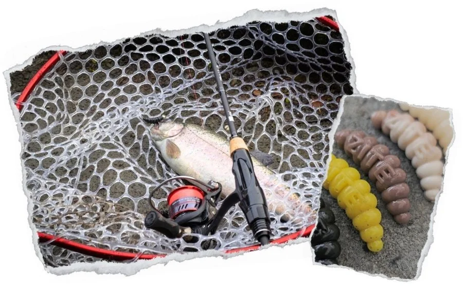 Mighty Mag Bienenmade Natur Mix Käse Gummiköder Forelle 2,8 cm 12 Stück - Unsere Mighty Mags im Outdoor-Einsatz