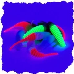 Wiggle Worm Forellenwurm Neon Mix Knoblauch Aroma 5,5 cm 10 Stück Gummiköder - Teils UV-aktiv