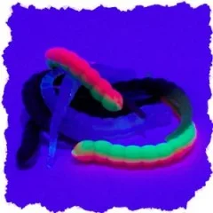 Curly Viper Allround Mix Knoblauch 6,5 cm Rotationsköder Forelle 8 Stück - Teils UV-Aktiv
