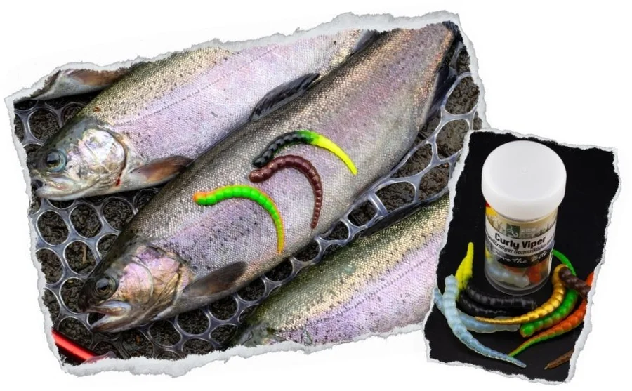 Curly Viper Allround Mix Knoblauch 6,5 cm Rotationsköder Forelle 8 Stück - Unsere Curly Viper im Outdoor-Einsatz