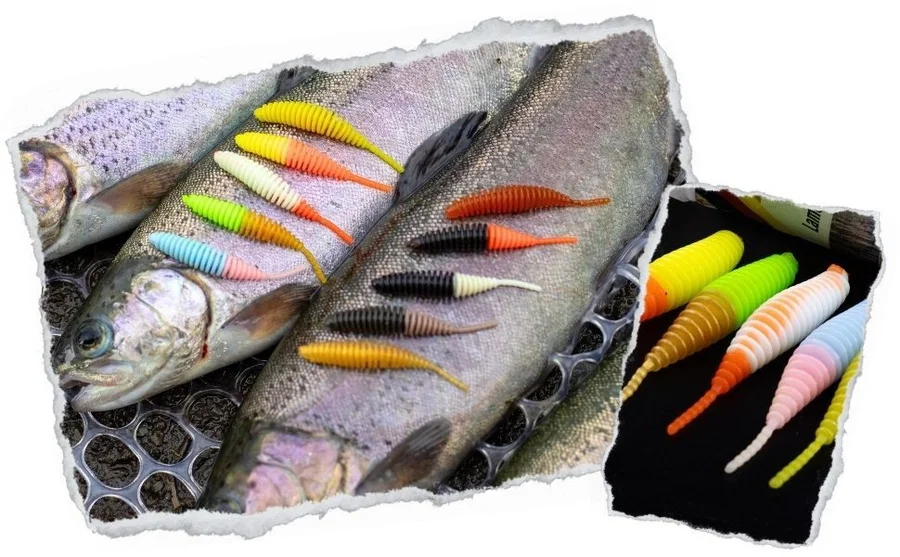 Zite Fishing Biggle Worm Schock Mix Käse 6,5 cm 8 Stück - Unsere Biggle Worm im Outdoor-Einsatz