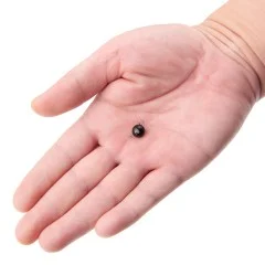 Zite Fishing Tungsten Cheburashkas 2x 5g - Effiziente Verarbeitung