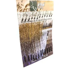 Zite Fishing Karpfen-Vorfächer + Boiliestopper + Multi-Tool - 12 Karpfen-Vorfächer