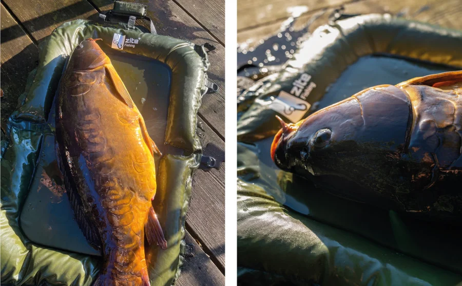 Karpfen Abhakmatte Groß & Schwimmend Zite Fishing - Unsere Abhakmatte im Einsatz!