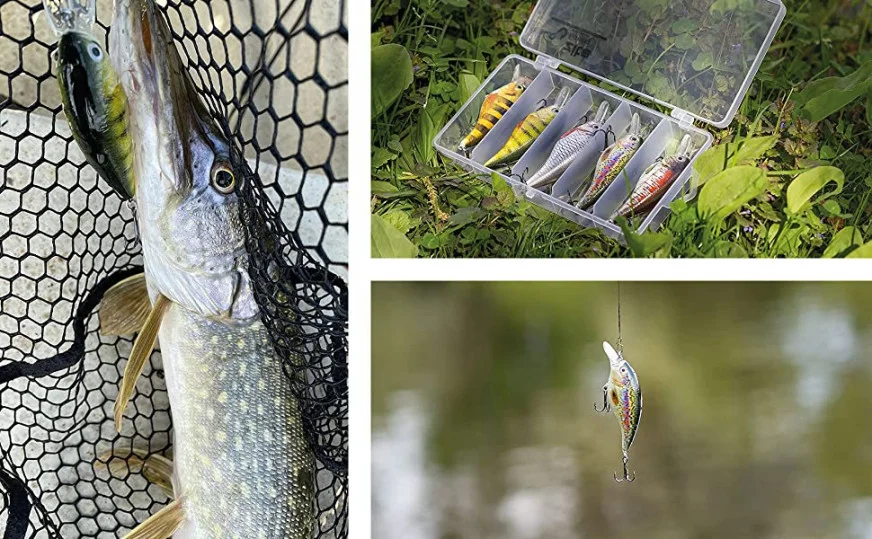 Crankbait Wobbler Set Natur 3D Designs 8,9cm 5 STK in Box - Unsere Crankbait-Wobbler im Outdoor Einsatz
