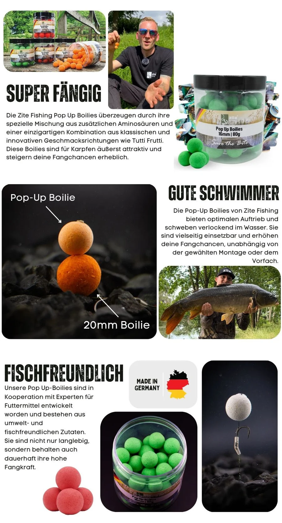 16mm Pop-Up Boilies mit Muschelaroma von Zite Fishing - Detaillierte Übersicht