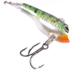 Zite Fishing Jigspinner Set 5-15g 3D Natur Design Spin Jigs Köder 5 Stück mit Köderbox - Realistische Fischform mit dezenten Farben