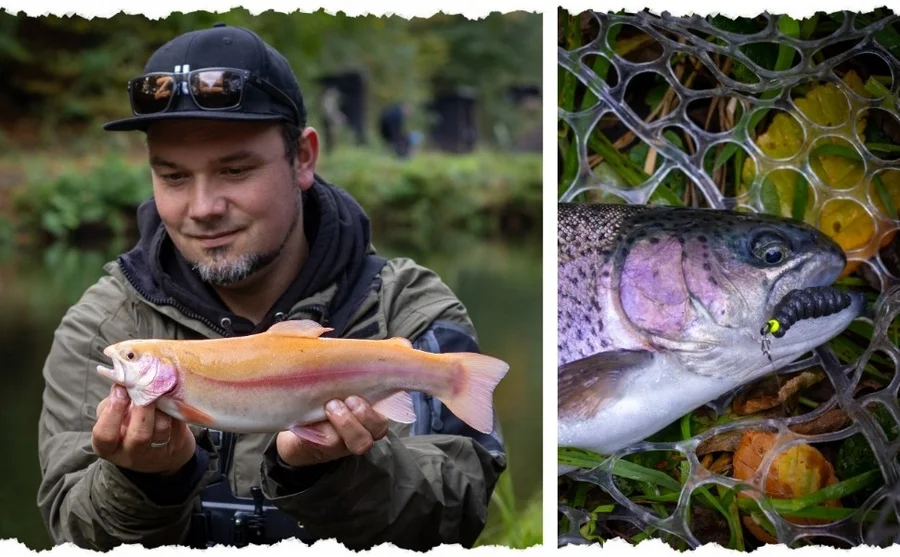 Zite Fishing Premium Tungsten Pro Sharp Jighaken Metallic #4 - Teflonbeschichtete Forellen-Haken mit Tungstenperle - Unsere Pro Sharp Jigheads im Outdoor-Einsatz