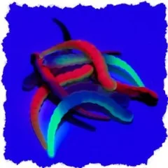 Curly Viper UL Forellen Gummiköder Starter-Set mit Rotationshaken Zite Fishing - Hervorragende Sichtbarkeit durch UV-Aktive Farben