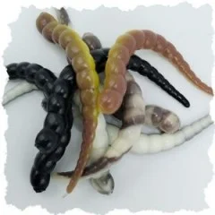 Curly Viper UL Forellen Gummiköder Starter-Set mit Rotationshaken Zite Fishing - Dezente Farben für scheue Fische