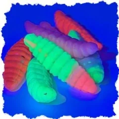 Attracta Larv Forellenköder Schock Mix Käse Aroma Floating Edition 3,5 cm 8 St. Gummiköder - Auffällige Neonfarben