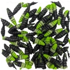 Attracta Larv Forellenköder Allround Mix Knoblauch Aroma Floating Edition 3,5 cm 8 St. Gummiköder - Ausgewogenes Köderspiel