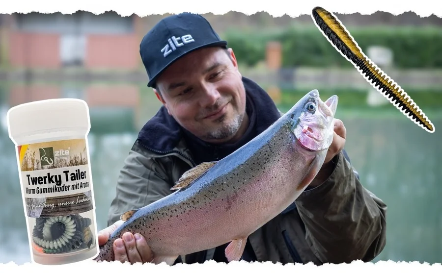 Zite Fishing Twerky Tailer Dark Mix Käse 7 cm 8 STK 3in1 Gummiköder Forelle - Unsere Twerky Tailer im Outdoor-Einsatz