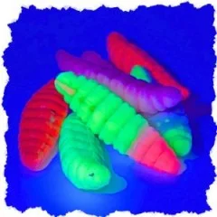 Zite Fishing Attracta Larv Ultra Light Starter Set mit Tungsten Jighaken und Rotationshaken Größe 6 Forellen Angeln - Maximale Lockwirkung durch UV-aktive Farben