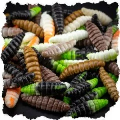 Zite Fishing Attracta Larv Ultra Light Starter Set mit Tungsten Jighaken und Rotationshaken Größe 6 Forellen Angeln - Optimale Farbvielfalt für jede Situation