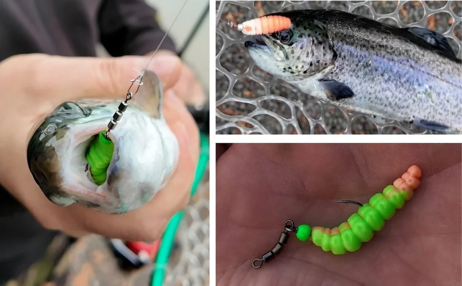 Zite Fishing Attracta Larv Passiv Starterset mit Bodentaster, Vorfachhaken, Karabinerwirbel und Gummiperlen Grundangeln  - Unsere Attracta Larv im Outdoor-Einsatz