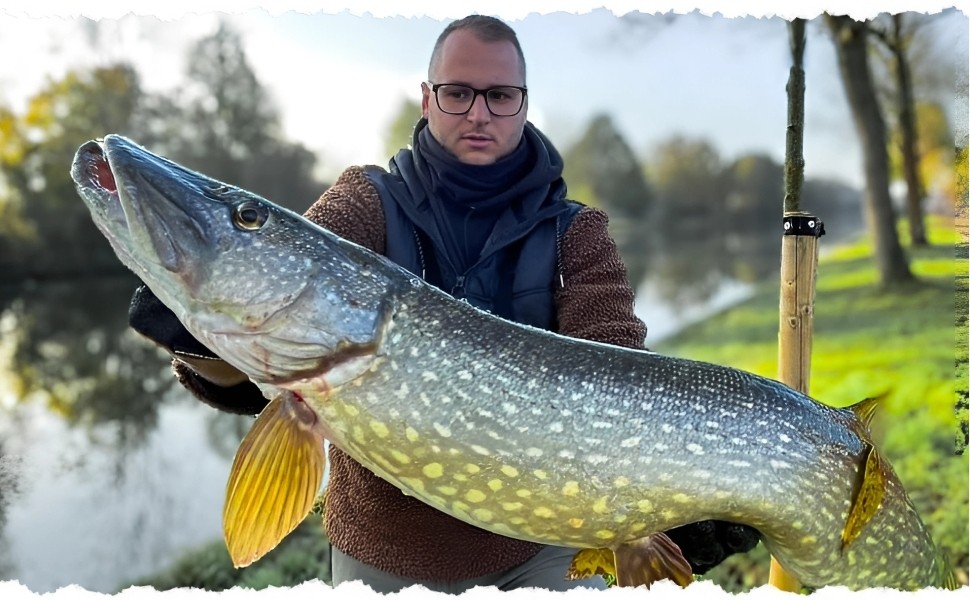 Zite Fishing Köderfisch System S, M & L - Stinger Raubfisch Hechtmontage - 7x7 Stahlvorfach - Fertigsystem - Unsere Köderfisch-Systeme im Outdoor-Einsatz