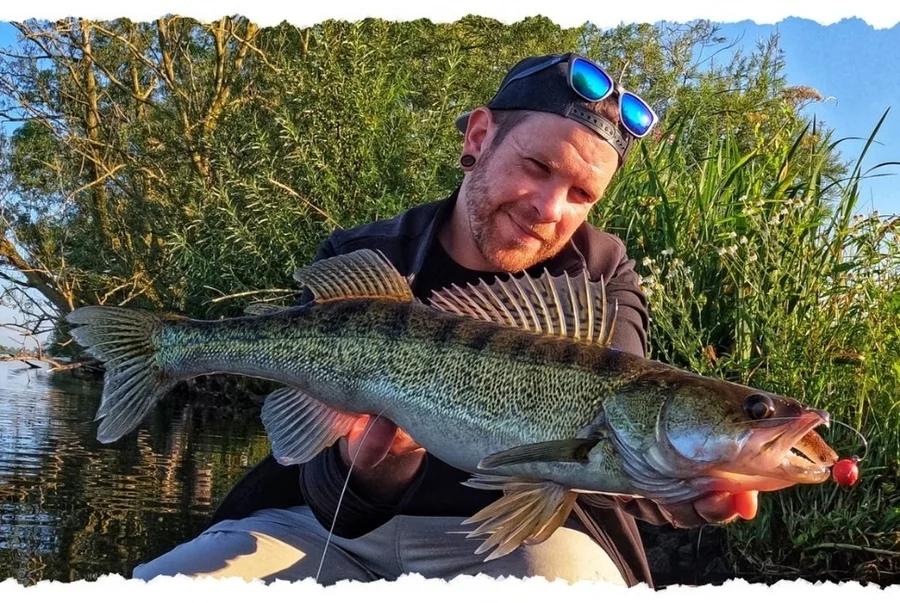 Inzite Base Stick Zander 255cm Spinnrute 15-55g Zanderrute - Unsere Base Stick Zander im Einsatz