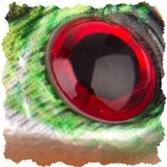 Jigspinner Starterset - Neon & Natur inkl. Haken mit Gratis Tackle-Box für Barsch, Hecht & Zander - Realistische 3D-Augen
