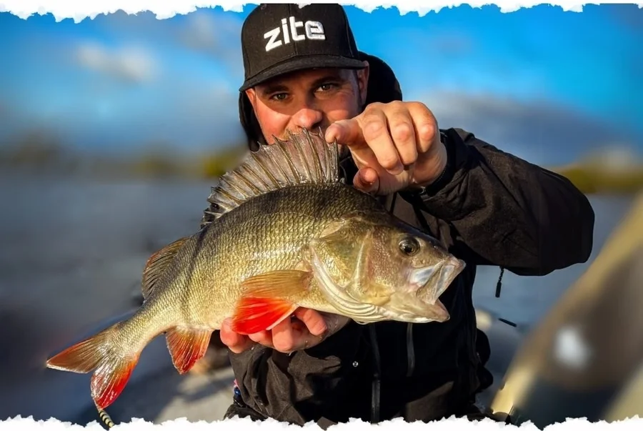 Jigspinner Starterset - Neon & Natur inkl. Haken mit Gratis Tackle-Box für Barsch, Hecht & Zander - Unsere Jigspinner im Outdoor-Einsatz