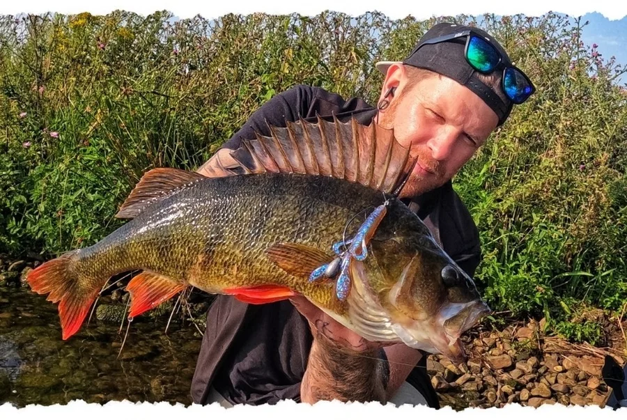 Barsch Base Komplettset - Inzite Base Stick Perch, Spinnig Reel Base 2000 bespult & GRATIS Gummiköder + Montagen - Unser Barsch Set im Outdoor-Einsatz