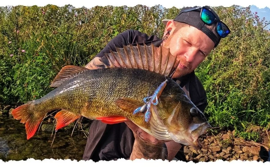 Inzite Pro Stick Barsch-Set - 225 cm Angelrute & Spinning Reel Pro 2000 bespult + Zubehör wie Schnur, Jighaken, Gummifis - Das Inzite Pro Stick Barsch Set überzeugt im Outdoor-Einsatz