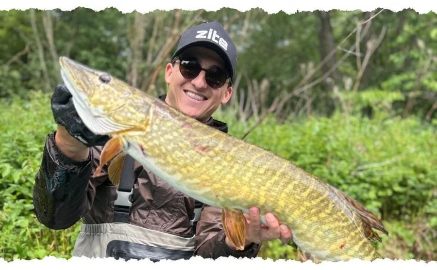 HechtSet,Inzite Pro Stick Hecht-Set - 255 cm Angelrute & Spinning Reel Pro 4000 + Zubehör wie Schnur, Jighaken, Gummifis - Das Inzite Pro Stick Hecht Set überzeugt im Outdoor-Einsatz