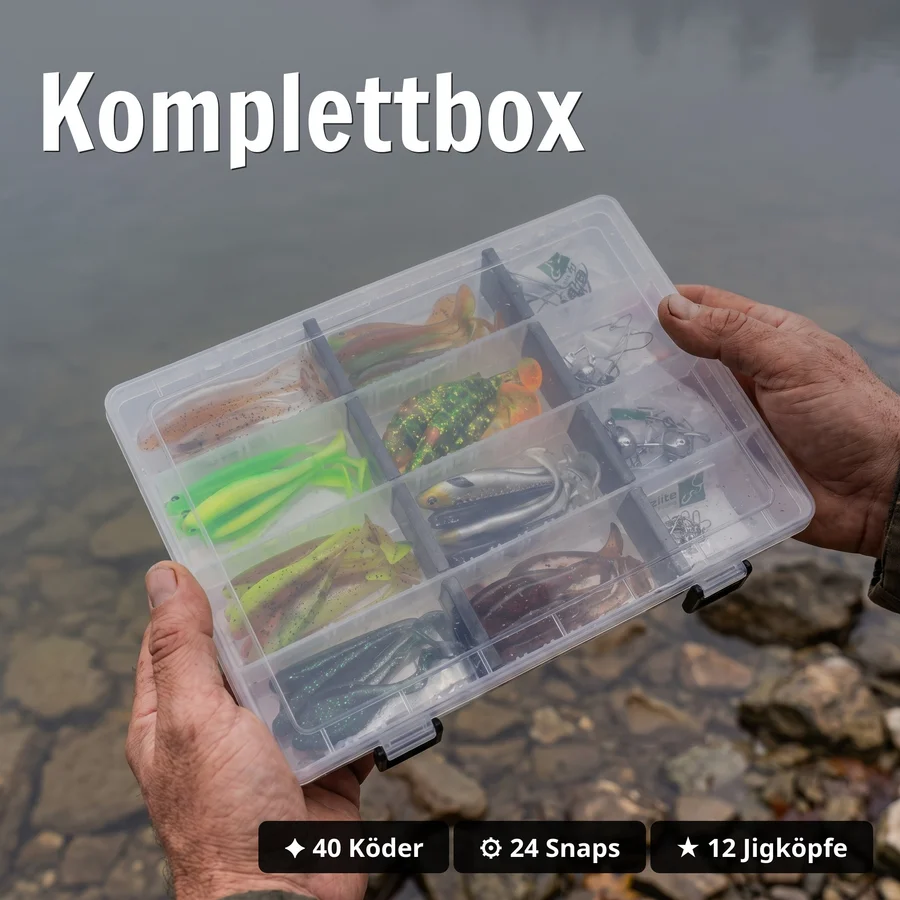 Zite Fishing Inzite Pershad Box - 40 Gummiköder mit Jigköpfen & Snaps für Barsch & Zander - Komplettbox