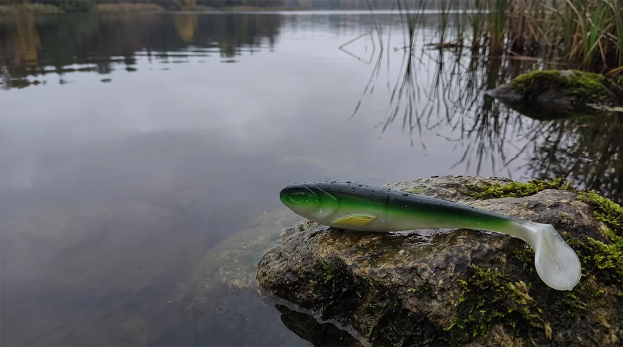Zite Fishing Inzite Flanker Gummifisch Green Shiner 23,5 cm - Großhecht Köder im 2er Pack - Kapitaler Hecht im Visier