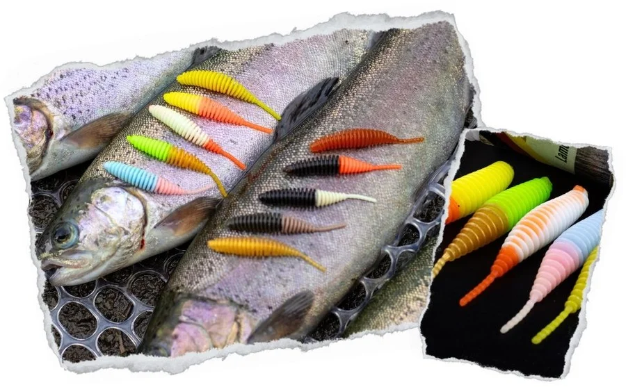 Zite Fishing Biggle Worm Christal Brown Knoblauch 6,5 cm 8 Stück - Flexibel an jeder Forellen-Montage
