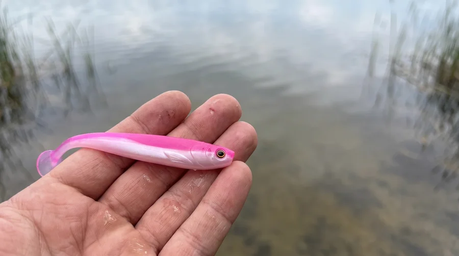 Zite Fishing Inzite Shad Pink Blush 15,5 cm Gummifisch für Hecht & Zander – 4 Stück - Hecht & Zander im Fokus