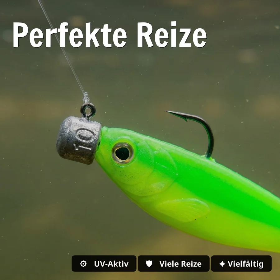 Zite Fishing Ultimative Starterbox Barsch – Komplettset mit Gummifischen, Rigs & Jigspinner - Perfekte Reize