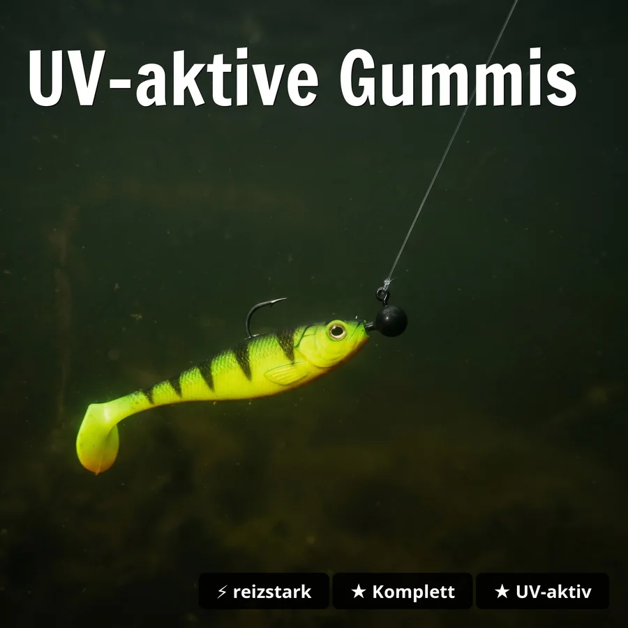 Zite Fishing Ultimative Starterbox Zander – Komplettset mit Gummiködern, Rigs & Jigs - UV-aktive Gummis