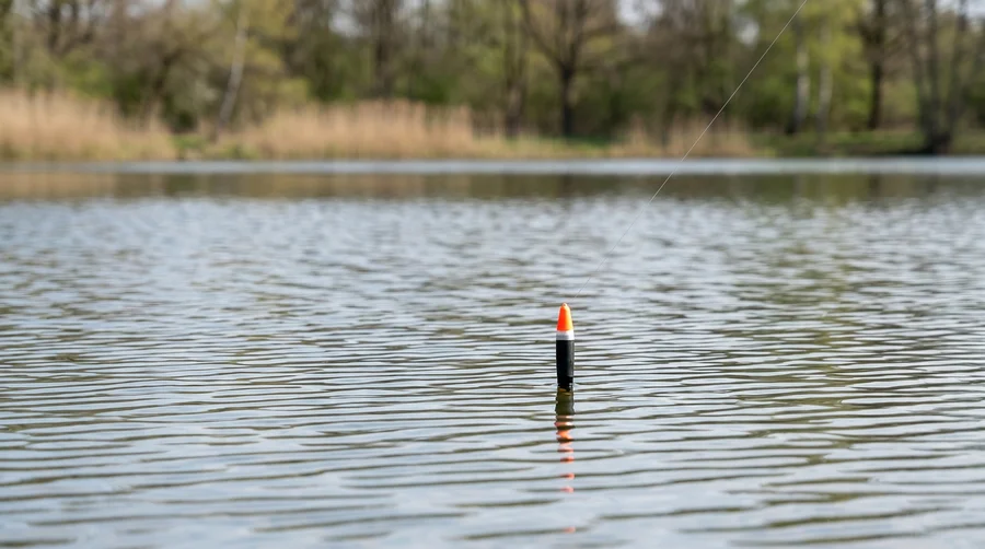 Zite Fishing Schlepp-Posen 3er Set 2g 3g 4g – Forelle & Hecht Laufposen Schleppangeln - Detaillierte Übersicht