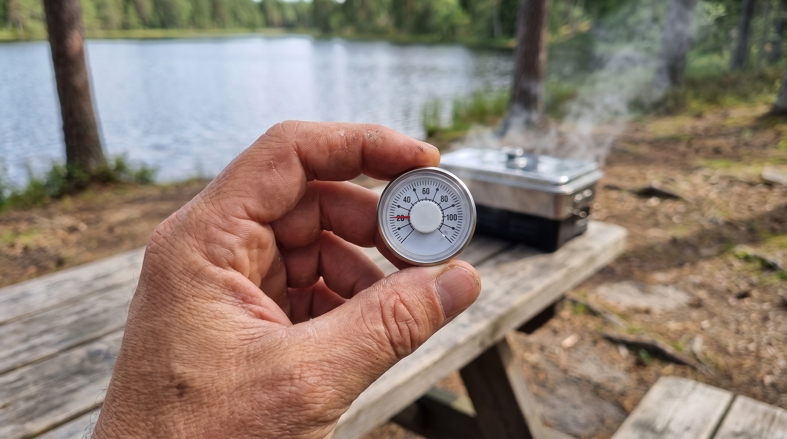 Zite Fishing Ersatzthermometer für Tischräucherofen - Analoge Anzeige von 20-100°C für Temperaturkontrolle beim Räuchern - Detaillierte Übersicht