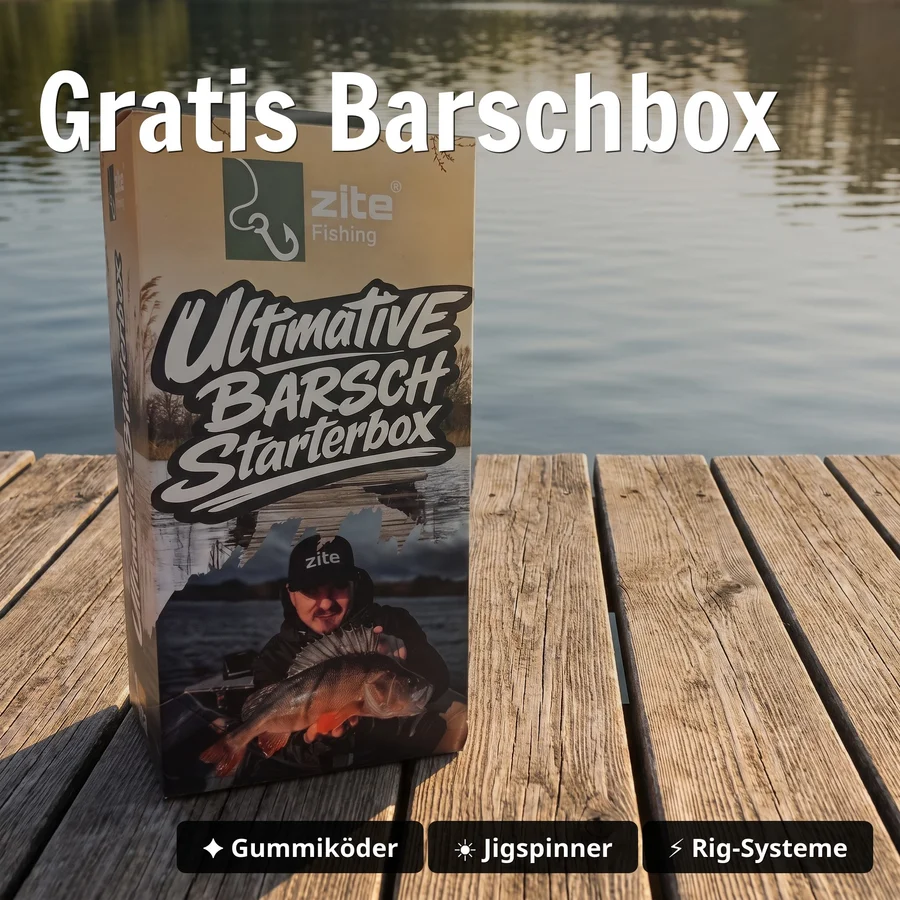 Barsch Angelset Komplett: Spinnrute 2,25 m + Rolle Base 2000 bespult + Rutentasche 1,30 m + Starterbox GRATIS - Gratis Barschbox