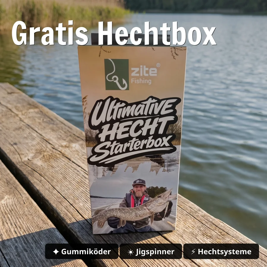 Hecht Angelset Komplett: Spinnrute 255 cm + Rolle Pro 4000 bespult + Rutentasche 130 cm + Starterbox GRATIS - Gratis Hechtbox