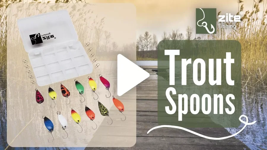 Zite Spoon Set