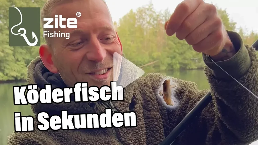 Mit Stipprute und Fertigangelmontagen in Sekunden Köderfische an Land ziehen!