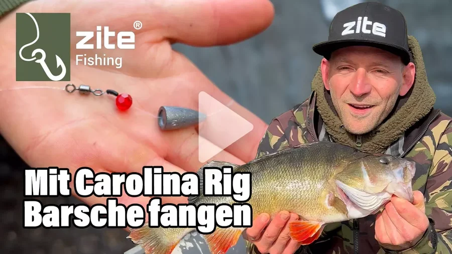 Mit Carolina Rigs fette Barsche landen - Das Zite Fishing Carolina Starterset machts einfach!
