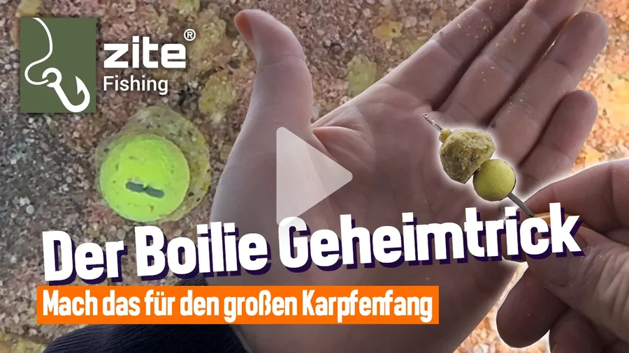 Boilie-Hack für mehr Bisse! So machst du deinen Hakenköder unwiderstehlich