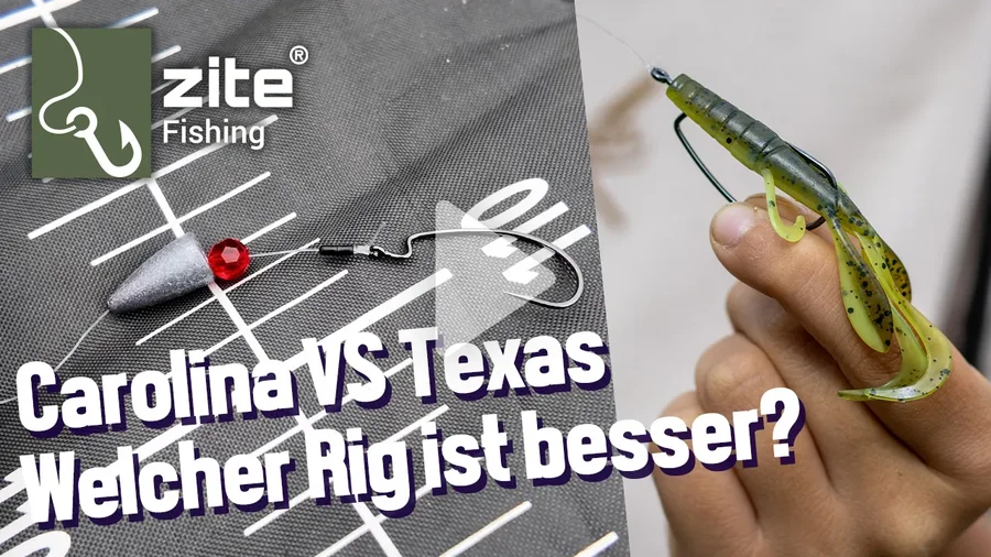 Carolina VS Texas Rig - Welcher ist besser?! Teamangler Tim erklärt!