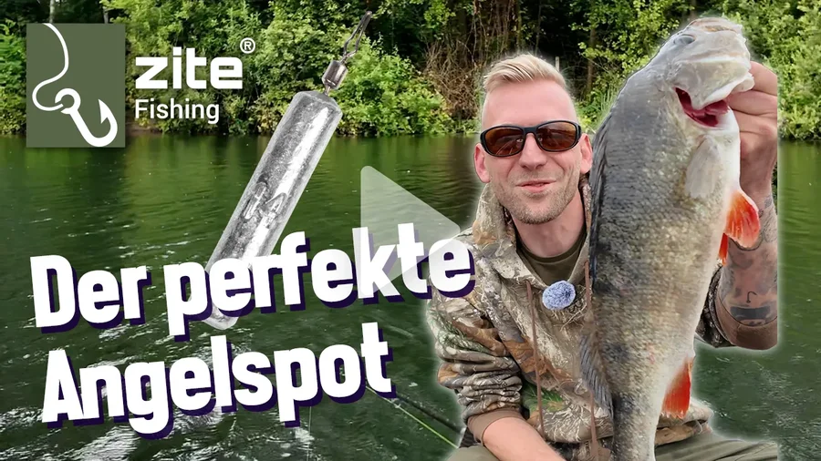 So findest du den Perfekten Spot zum Barsche fangen - Mit Dropshot Montage ganz einfach